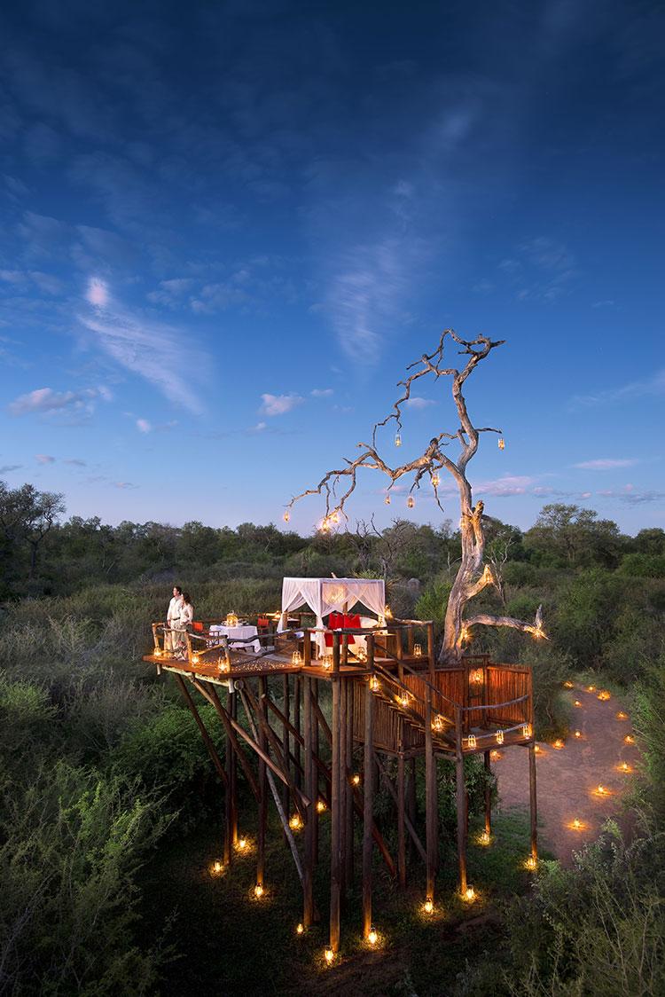 lion-sands-chalkleytreehouse-homelifestyle-magazine