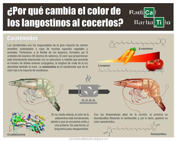 Beta carotenos, astaxantina. Infografía