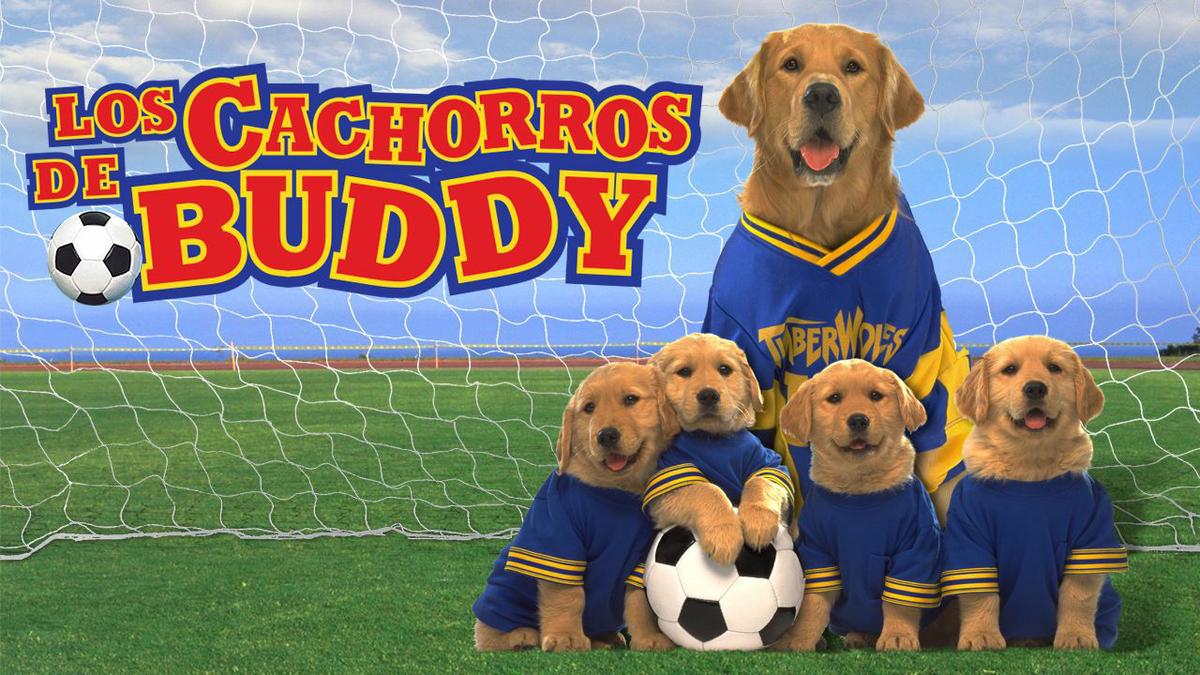 los-cachorros-de-buddy
