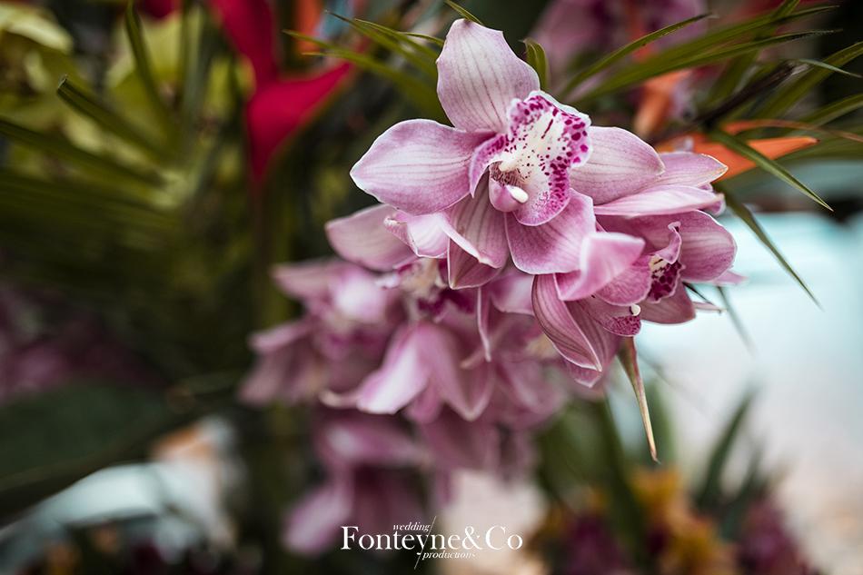 first-day-carlaflorian_0005