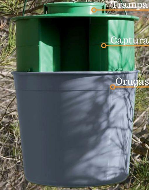 Trampa captura Procesionaria