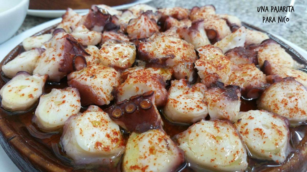 14273525_10210649595261701_29046526_o