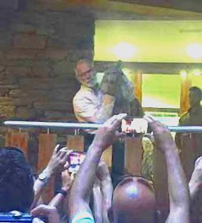 Presentación del Lobezno "Robledo"