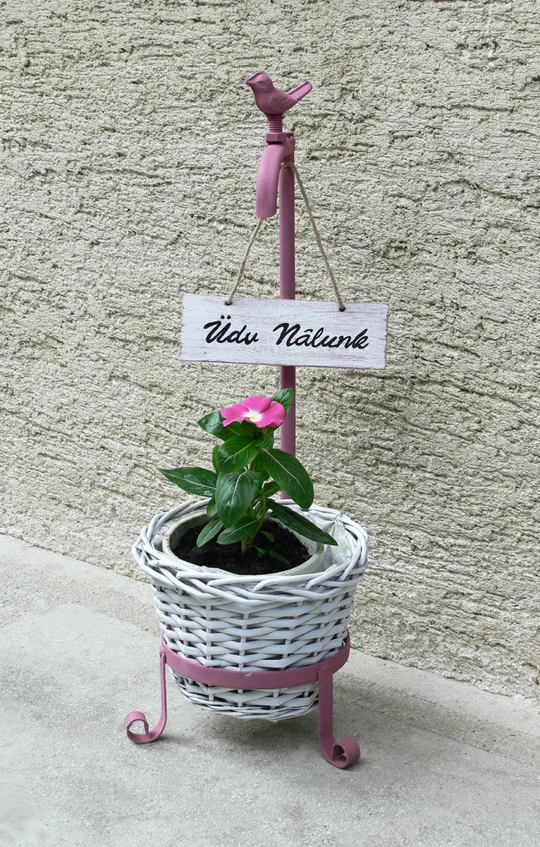 pintyplus imagen final macetero hungria