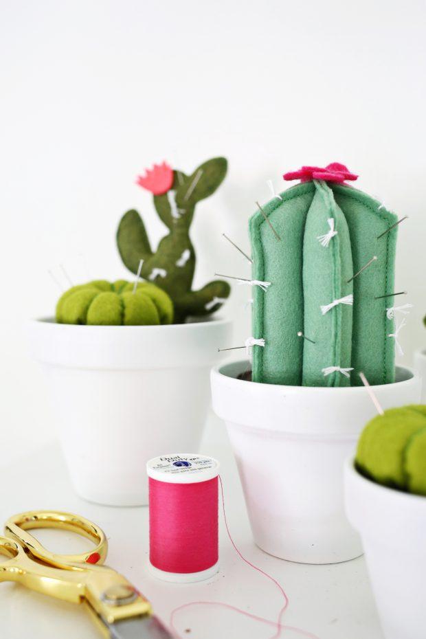Cactus para tus agujas