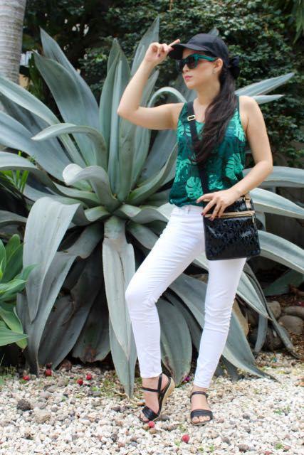 palmeras para el calor