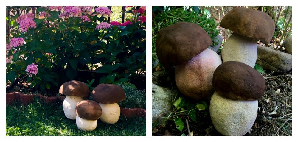 setas-boletus-piedra