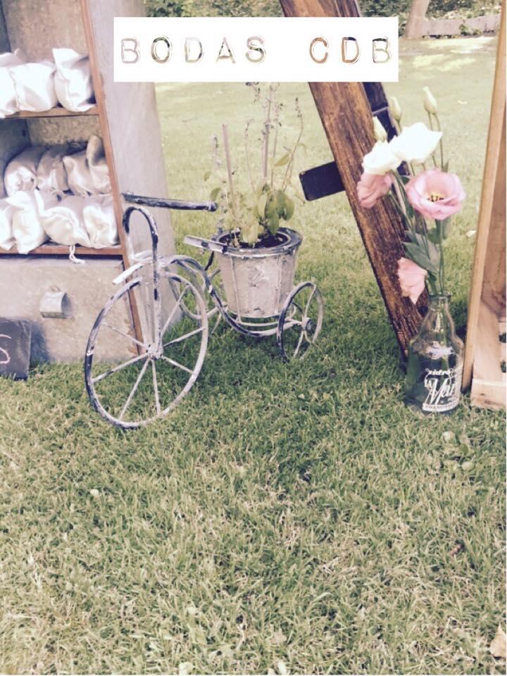 11143443_922565057807393_5991816385651926318_n