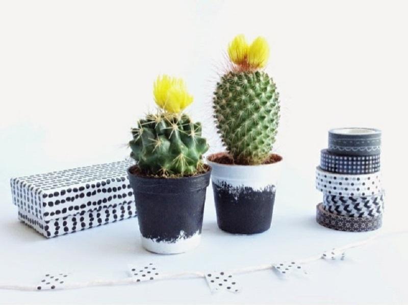 Macetas con gesso pintyplus