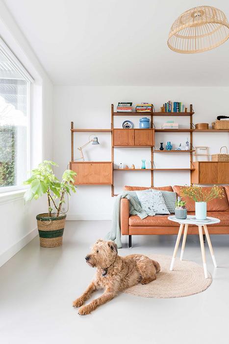 09-sejour-vintage-chien