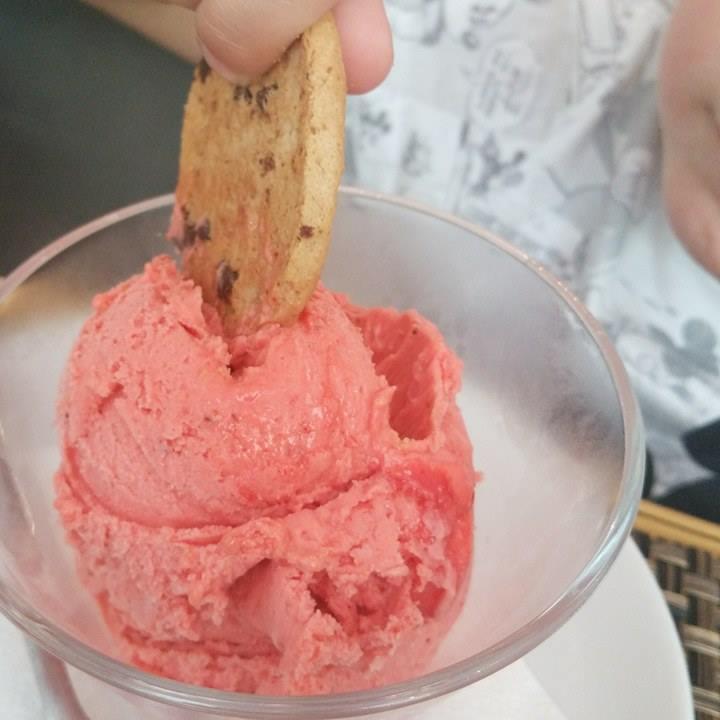 13695282_10210126840073148_190873427_n