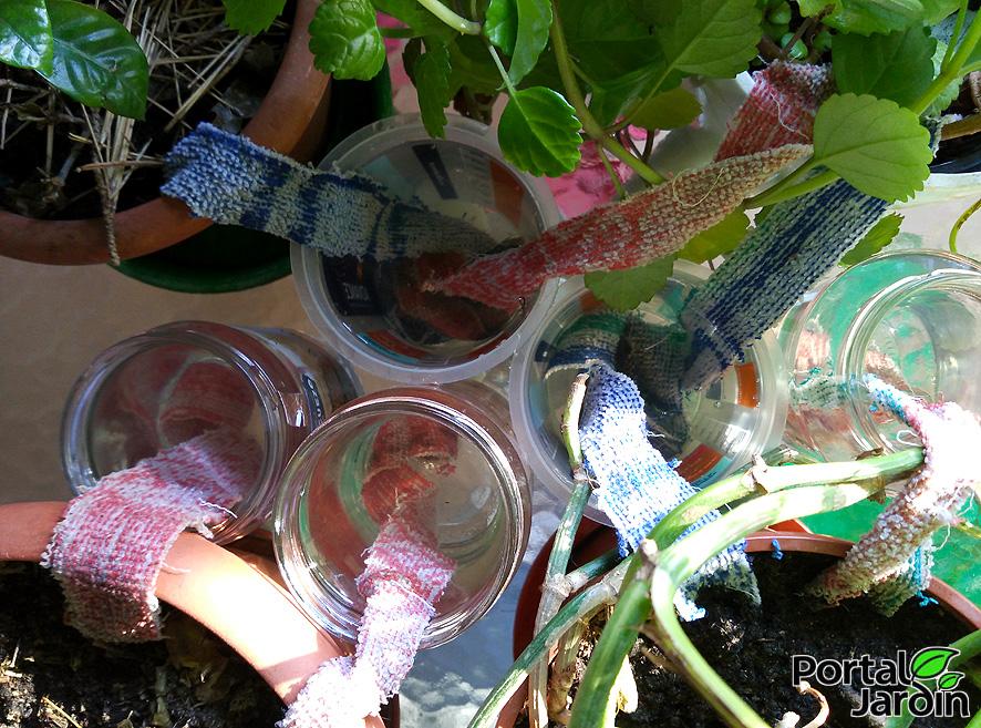 Auto riego casero para macetas