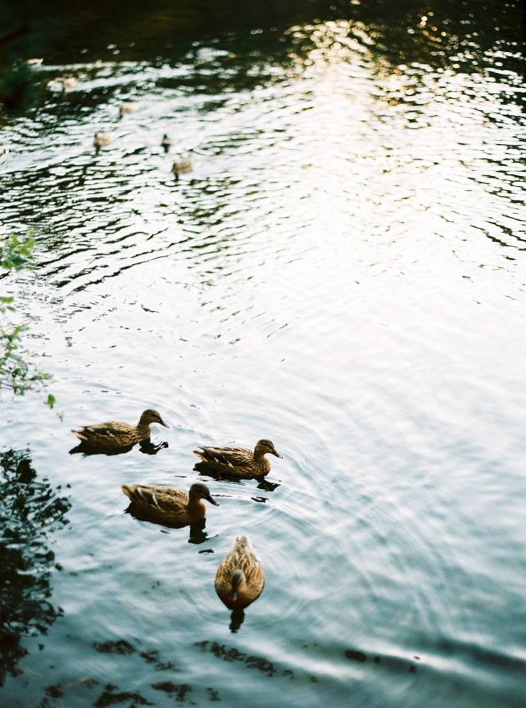 Una sesion preboda en el rio