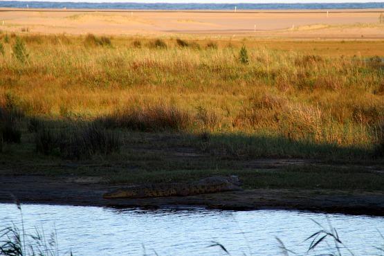 Estuario de Santa Lucia