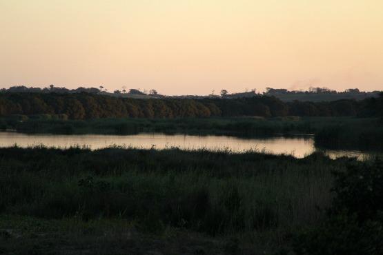 Estuario Lago Santa Lucia