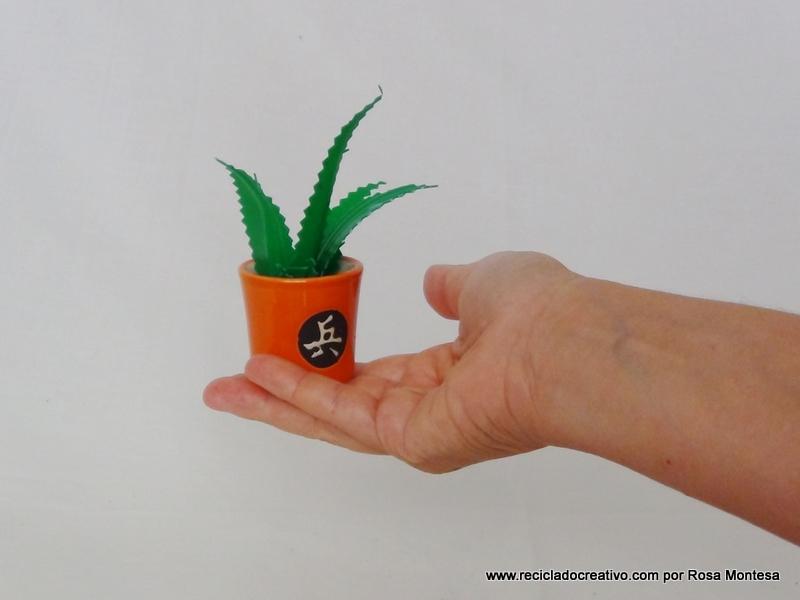 Miniatura de aloe vera DIY con botellas de plástico