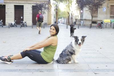 perro border collie adulto sentado en medio de una plaza