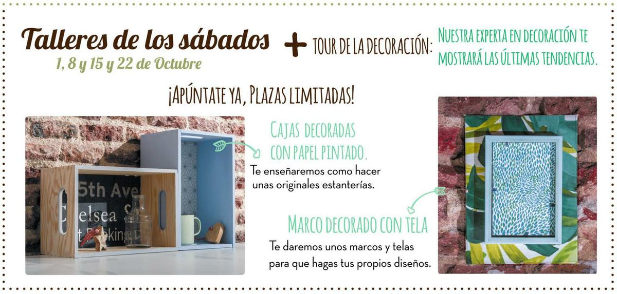 virlovastyle_-cartel_taller