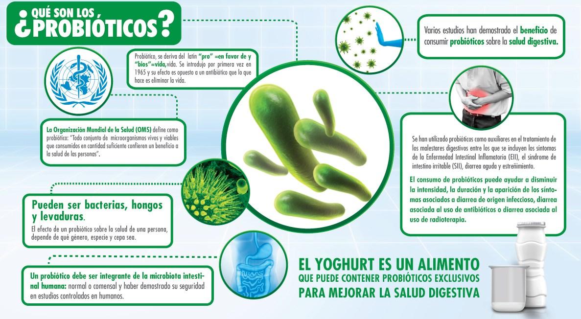 Qué son los probióticos