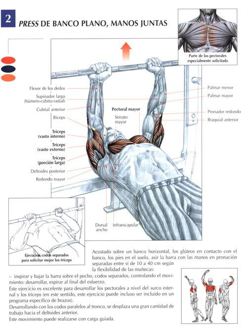 Press de banco plano con las manos juntas