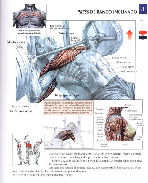 Press de banca inclinado