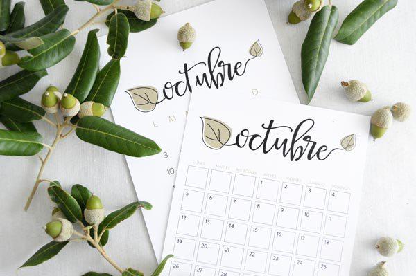 allyoursites-descargable-octubre-2