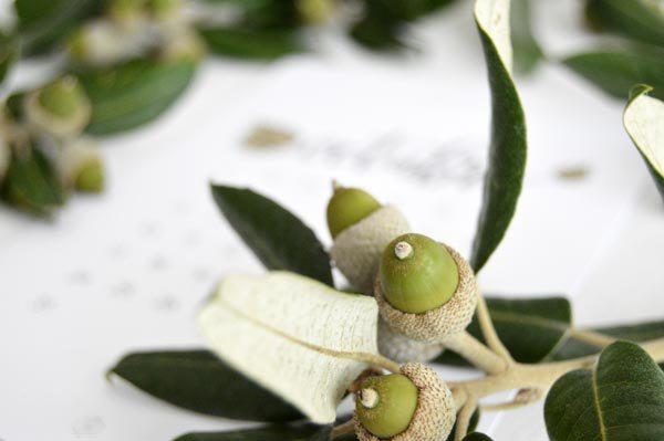 allyoursites-descargable-octubre-3