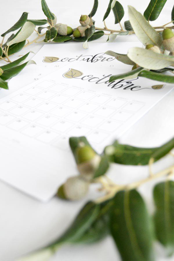 allyoursites-descargable-octubre-4