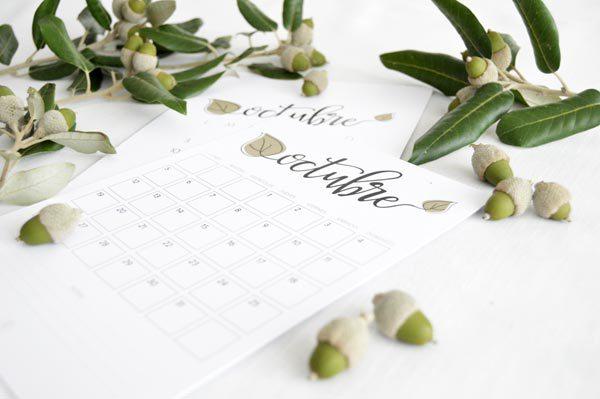 allyoursites-descargable-octubre-5