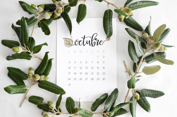 allyoursites-descargable-octubre-6