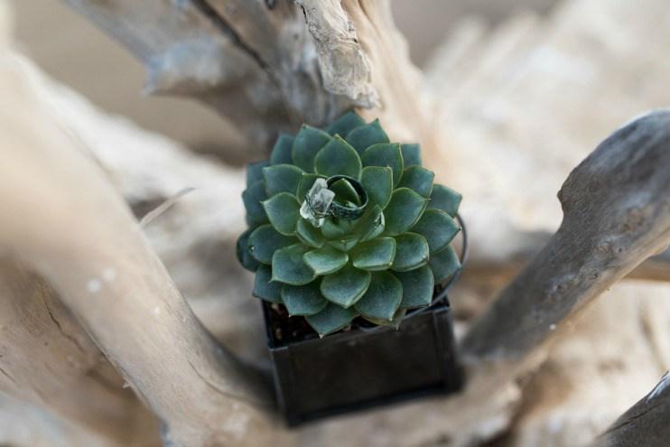 Inspiracion elopement en el desierto