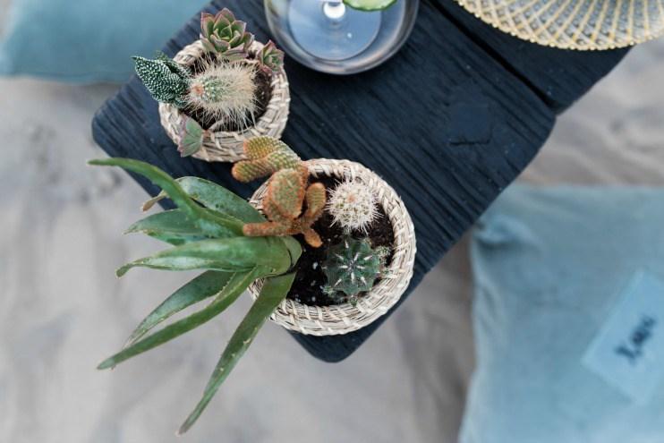 Inspiracion elopement en el desierto