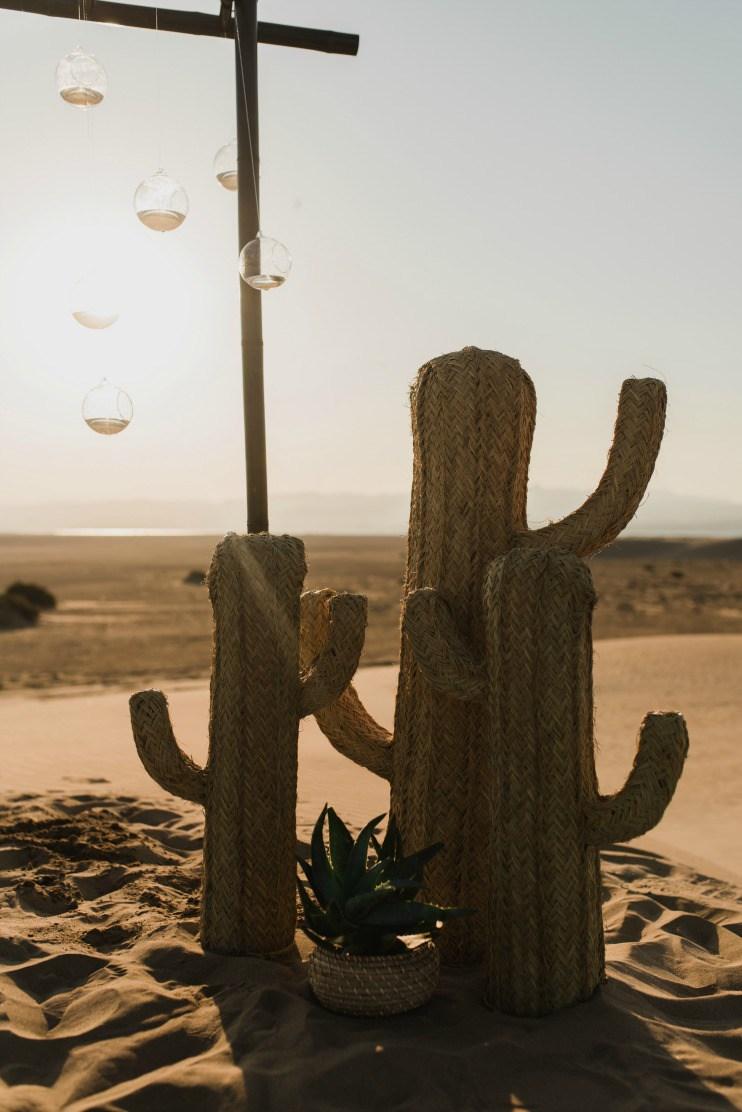 Inspiracion elopement en el desierto