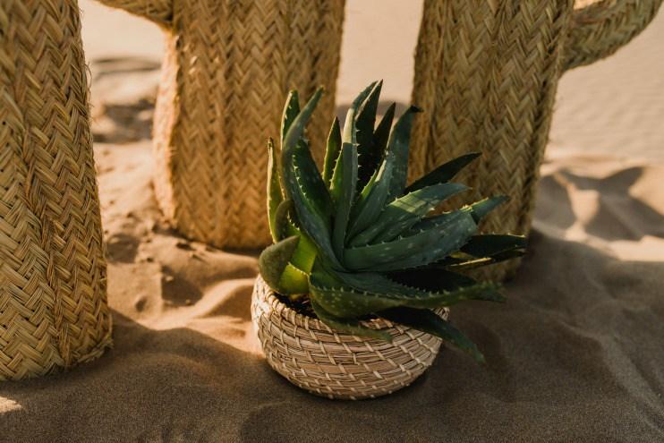 Inspiracion elopement en el desierto