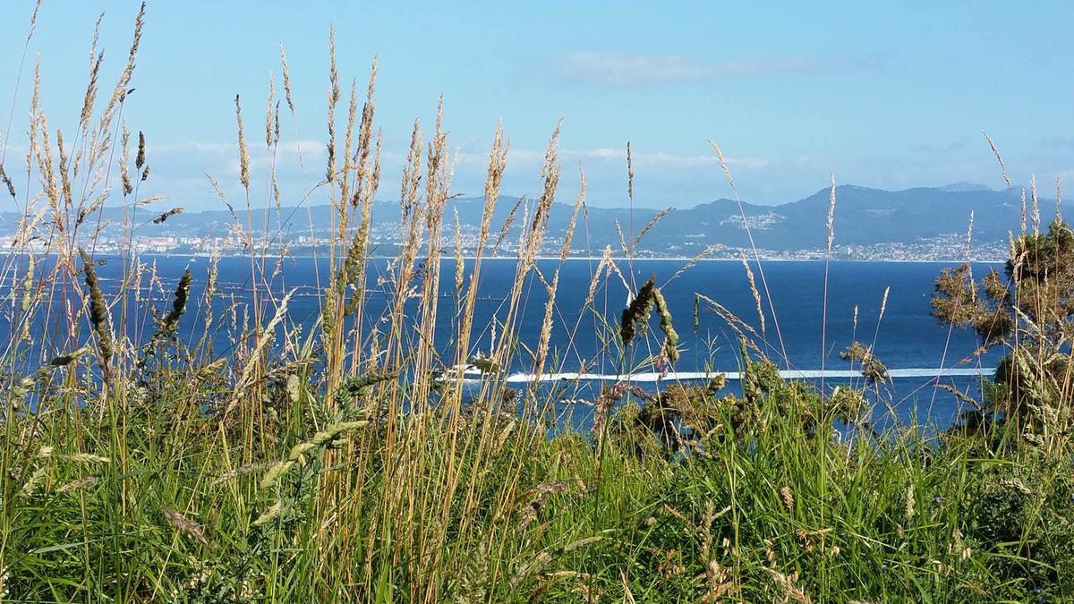 13639975_10210076832742996_235733750_o