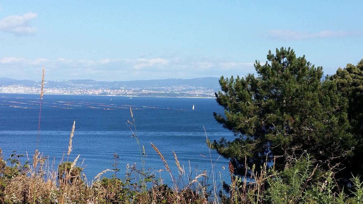 13663529_10210076829102905_1317867791_o