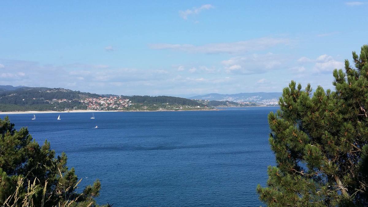 13639709_10210076832862999_408524690_o