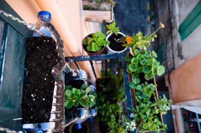 huerto vertical con botellas