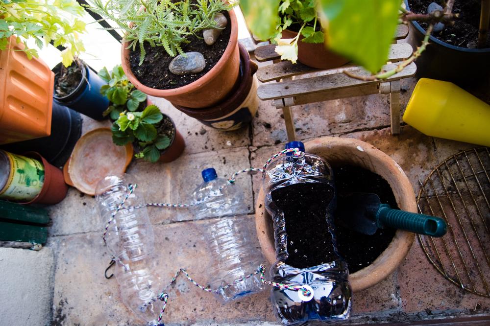 huerto con botellas