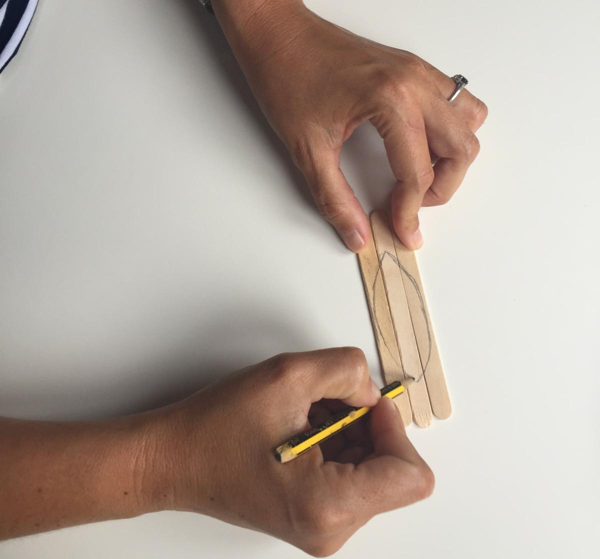 dibujamos la silueta de la sardina