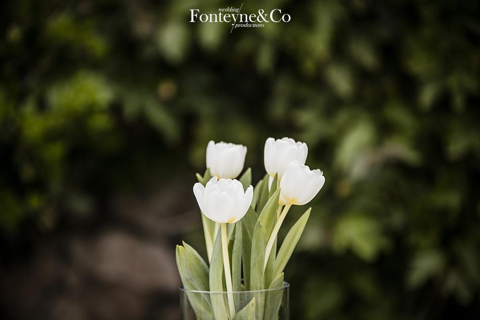 swimming-pool-party-cf-by-fonteyneandco006