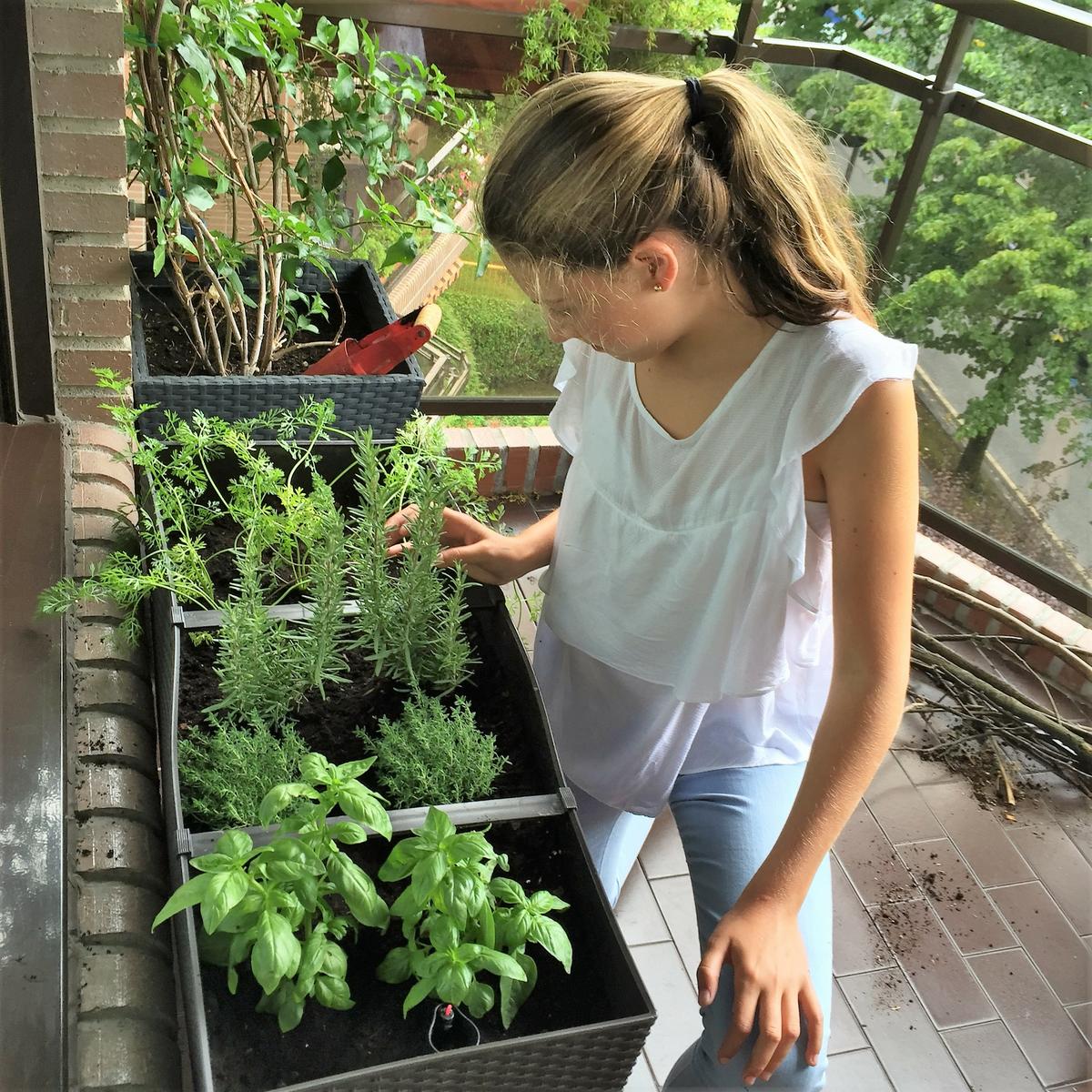 16-huerto-de-otono-resultado-final