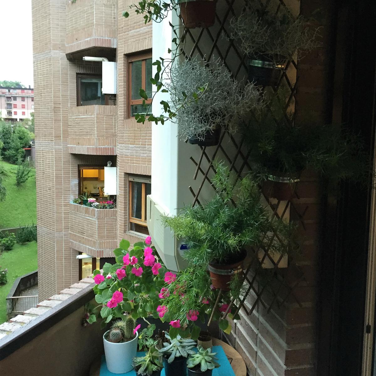 jardín vertical con celosía