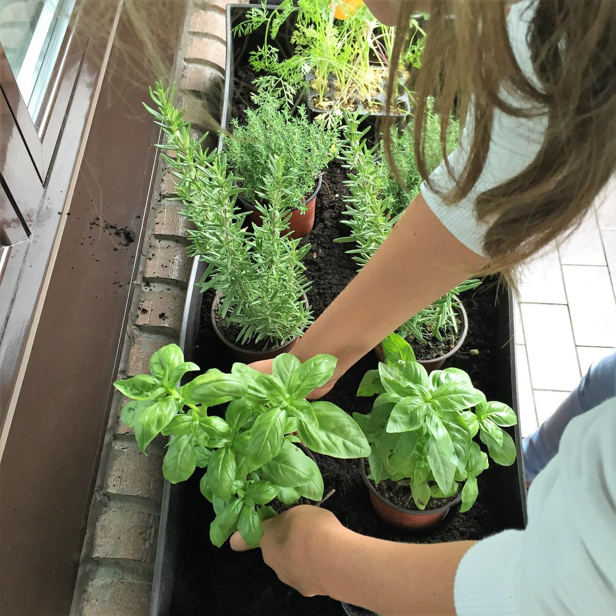 04-huerto-de-otono-marcamos-donde-vamos-a-plantar