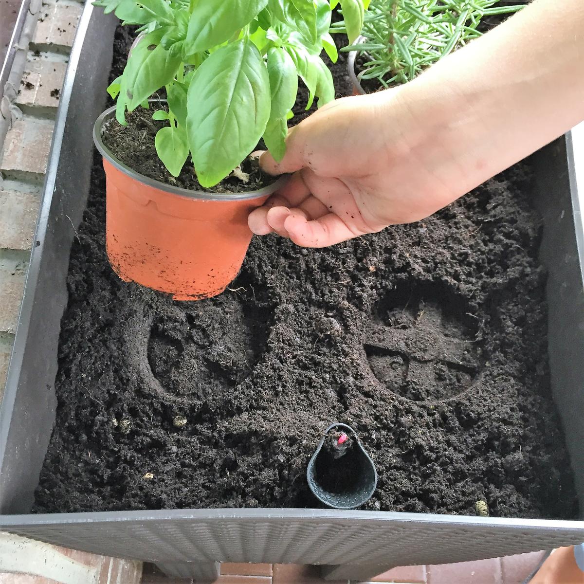 05-huerto-de-otono-marcaje