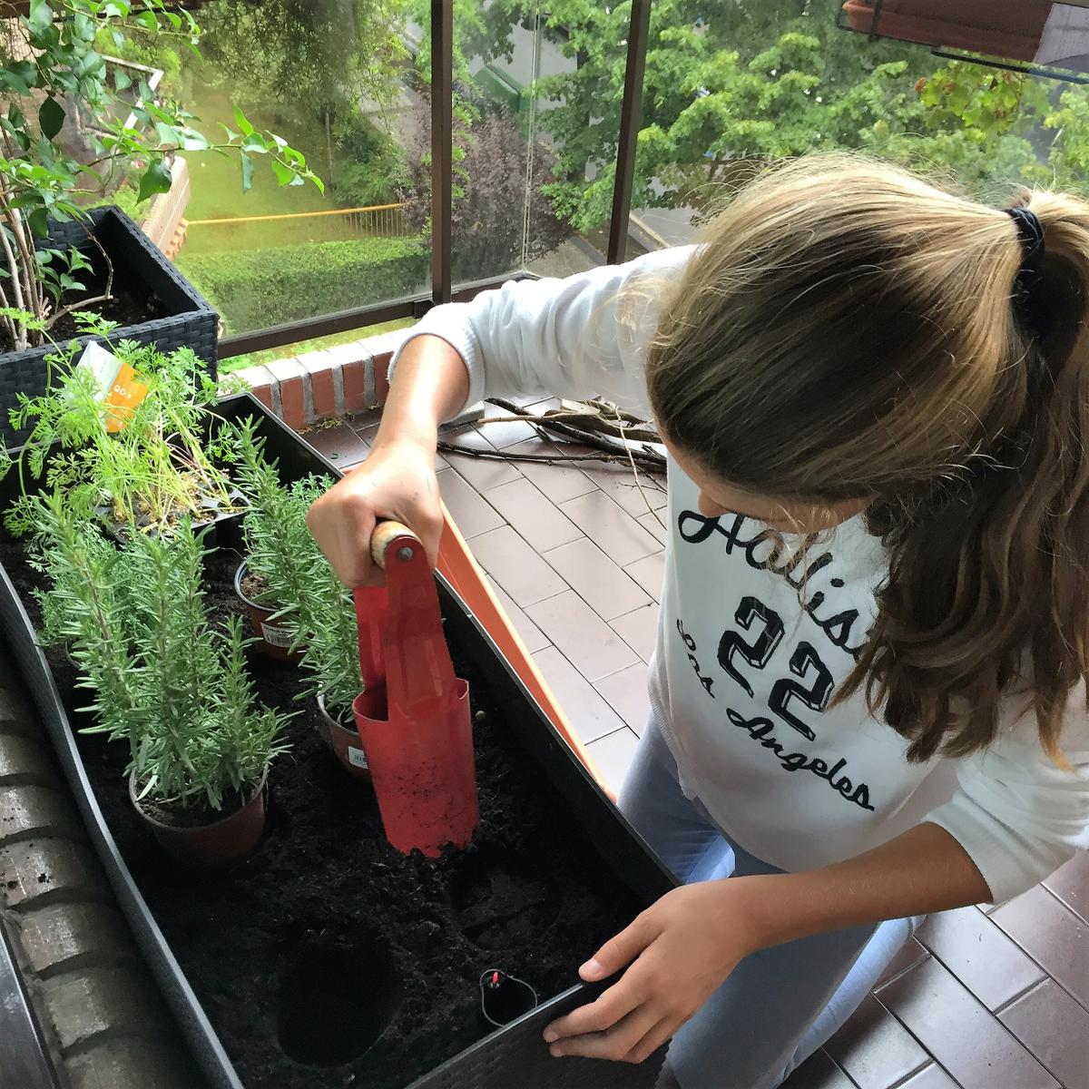 07-huerto-de-otono-sacamos-la-tierra