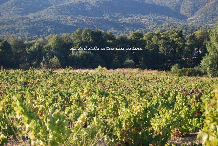 dsc_0052-fileminimizer