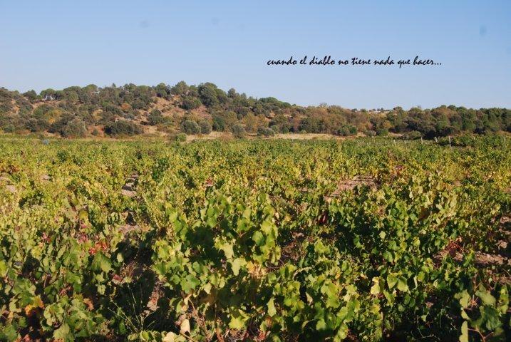 dsc_0046-fileminimizer