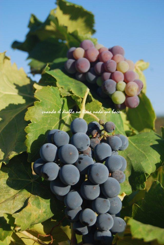 dsc_0050-fileminimizer