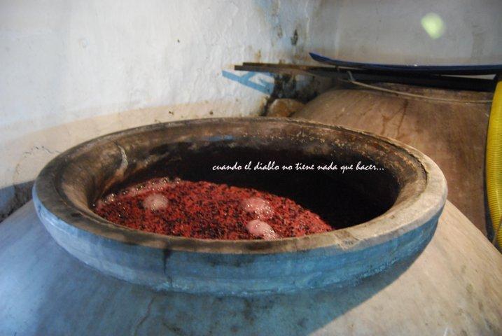 dsc_0111-fileminimizer